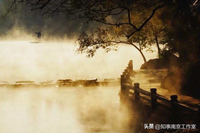 51张照片告诉你，南京的秋天有多美！