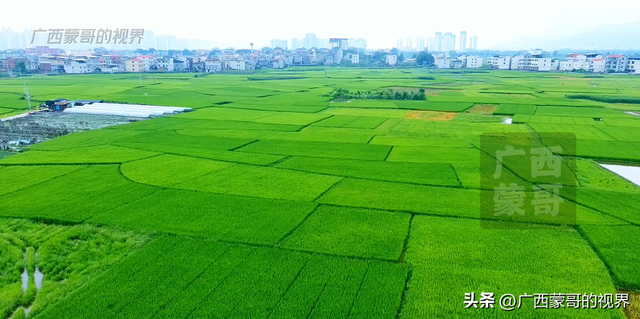 贵港，广西罕见的平原城市，颠覆你对“广西到处都是山”的印象！