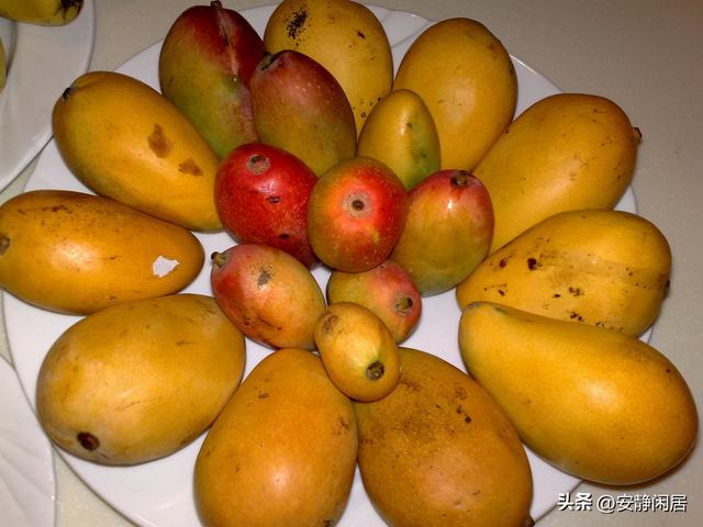 东方夏威夷，静静放在时光褶皱里的6大看点