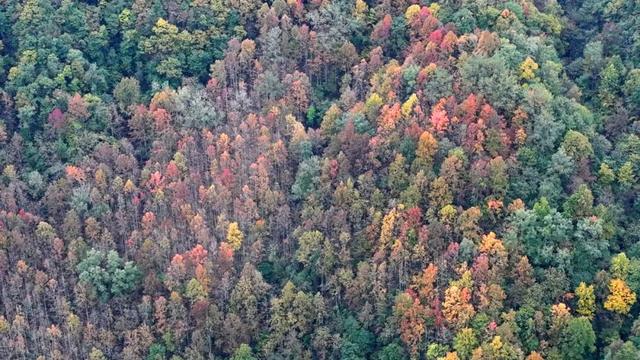 让我再看你一眼🧡