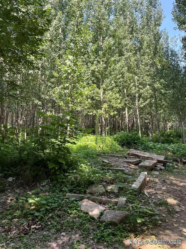 游罢周村古商城，再去寻访明代建村的古村：东铺和西铺