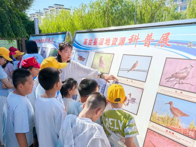 高台县科协湿地科学课：解锁“地球之肾的秘密”