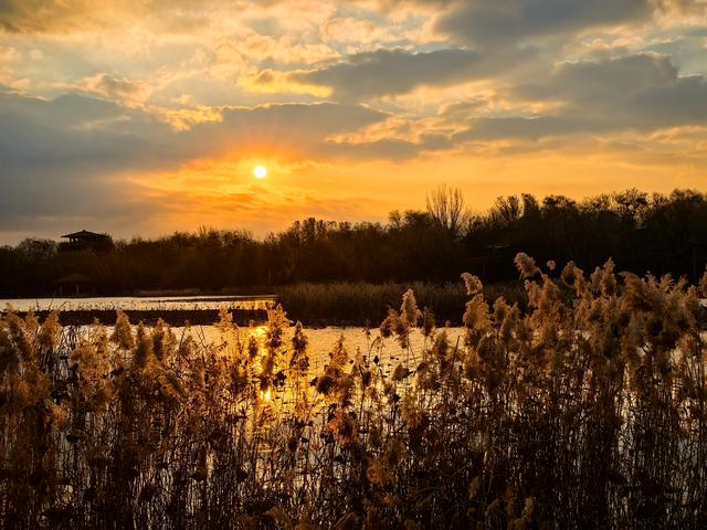 朝看芦苇夕望鸟：爱了！鸢都湖一天最美的两个时刻