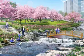 沙湖公园C区实施改造提升，“升级”后景观会更美图片