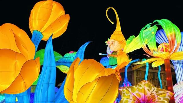 最新！新乡元宵节必看的灯展攻略