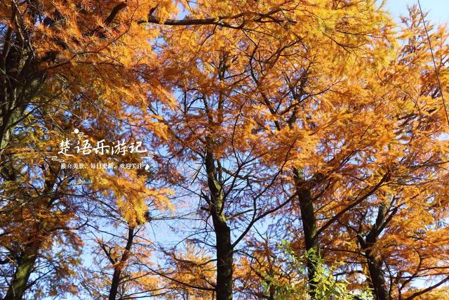 浙江宁波的深山古村，既是世外桃源又是赏秋胜地，像打翻的调色盘