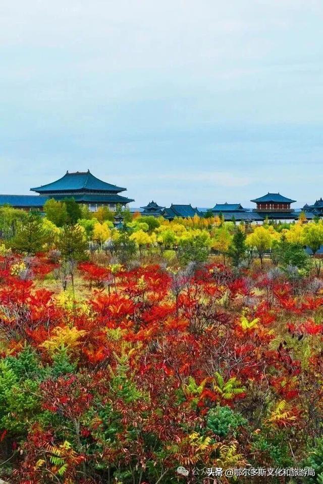 走进秋天的鄂尔多斯文化产业园，一眼心动