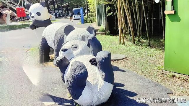 《游安吉熊猫馆》