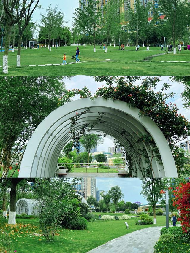 四川省金牛区历史沿革及行政区划