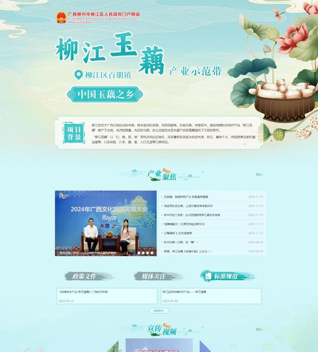 喜报！柳江区人民政府门户网站再登全国百强榜