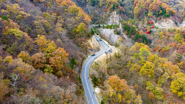 山道弯弯秋色浓