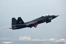 来自美国的称赞：歼-31就是战斗机中的AK-47，性能远超西方预料图片