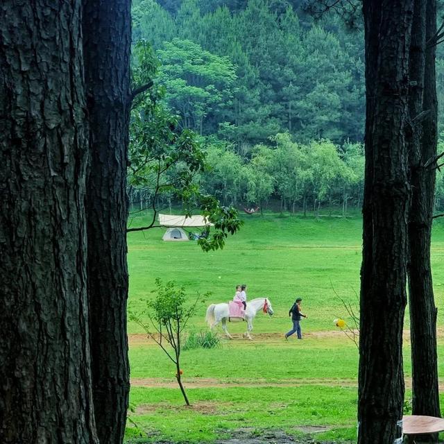 速戳！贵阳白云风筝嘉年华，随风筝趣玩白云