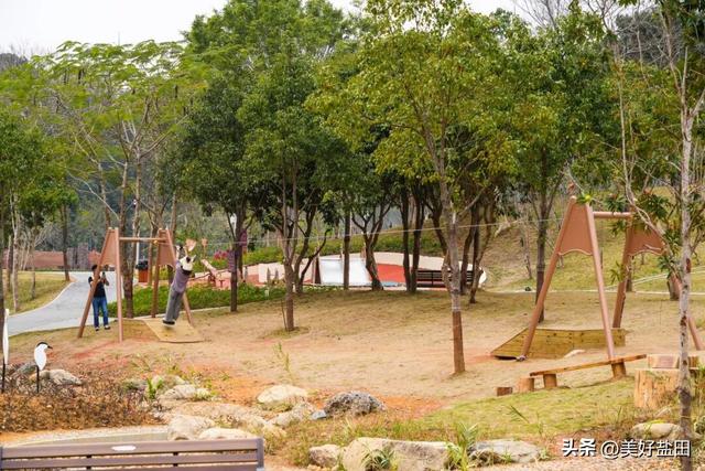 二刷、三刷……遛娃党解锁恩上湿地新玩法！