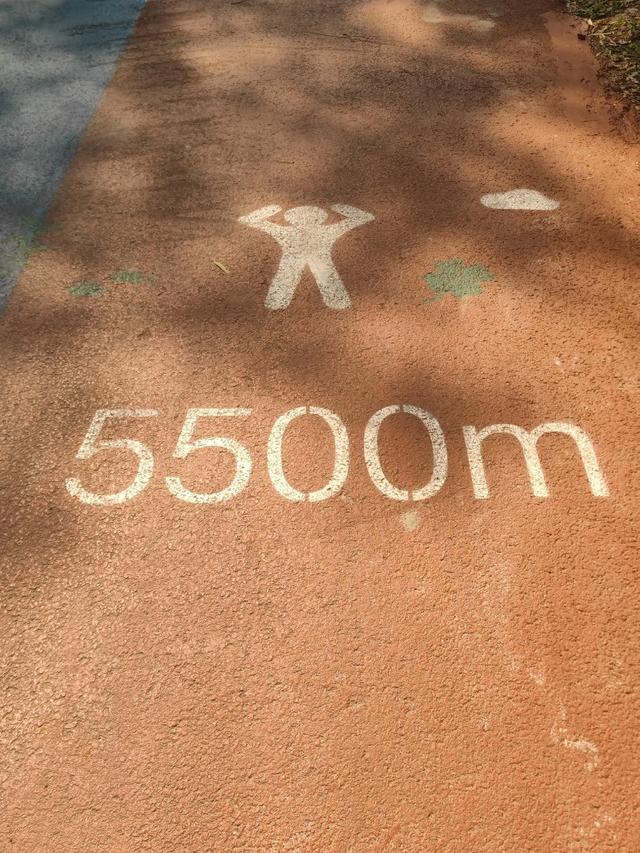 69岁老汉挑战5.5公里的环山步道，结局让人意想不到