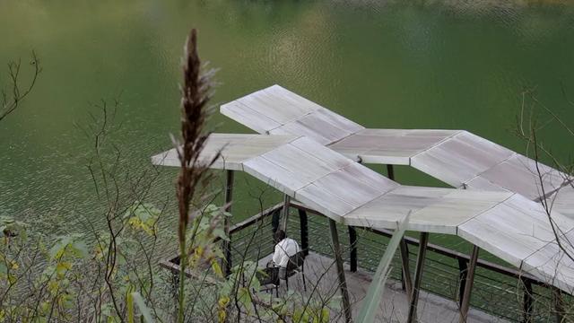 最高气温20℃!重庆人快来这些公园晒太阳