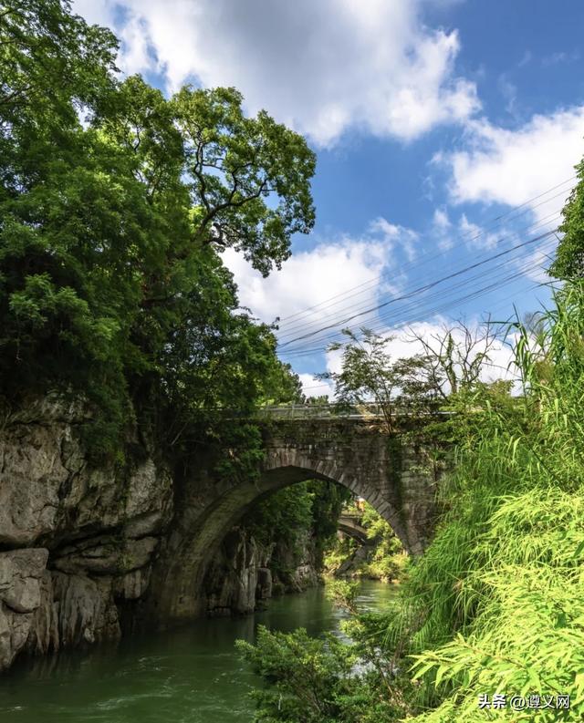 浙大与沙滩的文化情缘