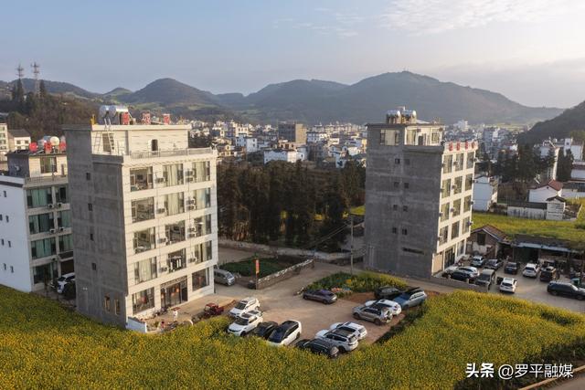 罗平：油菜花盛开 农文旅融合促振兴