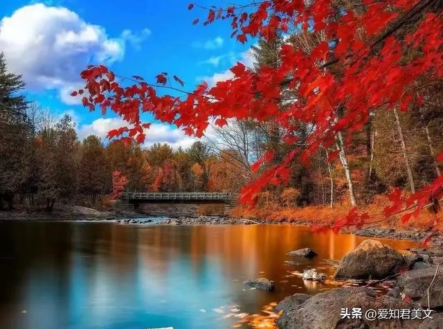 秋风瑟瑟日渐凉，层林尽染秋色黄