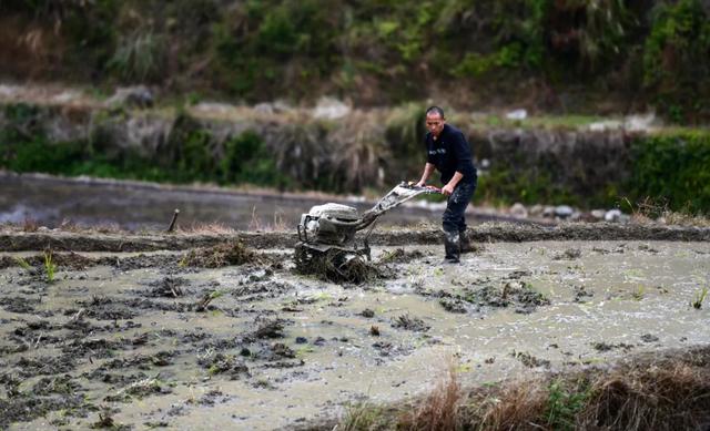 龙胜：“水镜梯田”唤醒冬韵 下埠屯书写旅游新篇