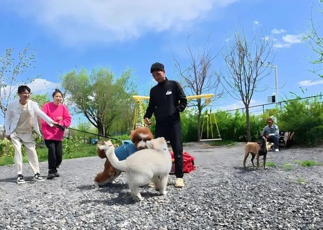 火火火！三坪农场文旅新地标凭什么引游客接踵而来