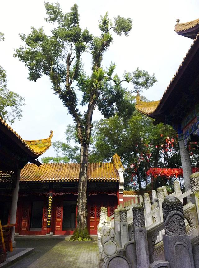 湖南必去十大景点排行榜，这才是湖南最值得去的10个地方，收藏好