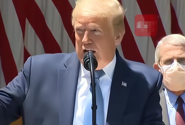 美国背刺盟友？特朗普任命特使	，要强抢格陵兰岛？丹麦欧盟被激怒