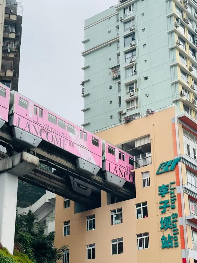 刚从重庆回来，说句大实话，能“劝”一个是一个！