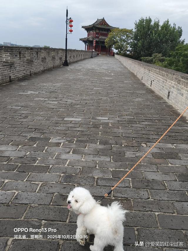 我的旅行日记——“北方旱地水城”，“太极拳之乡”之广府古城
