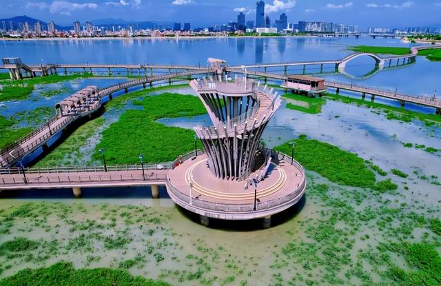 厦门下潭尾湿地公园，被称厦门版的马尔代夫，海上森林，颜值爆表