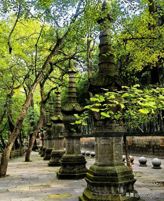 从热门寺庙看文化复苏,天童寺有何魅力,让人慕名而来