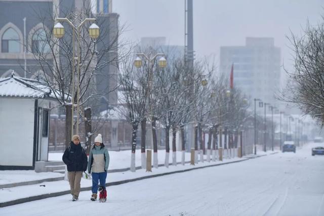 朔州：这场雪，认真