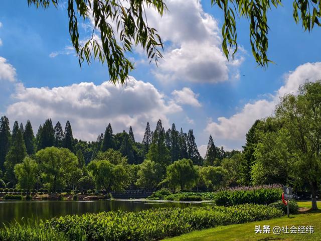 中山陵畔藏绿意：博爱园里，读懂 “天下为公” 的城市温度