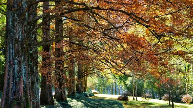 武夷山 | 我就说，这才是过日子~