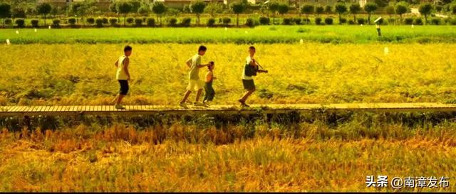 每一帧都很美！在电影《放下手机》里解锁南漳宝藏美景