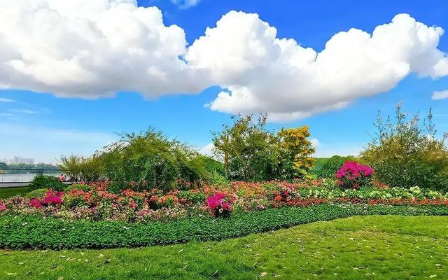 山东“黑马”孟州：洛阳没预料	，焦作没料到，全国瞩目焦点！