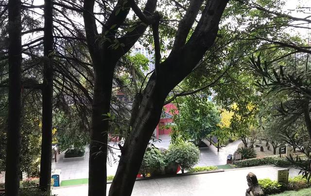 巴中南龛随笔