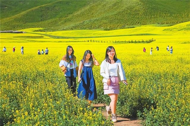 【互动交流】扁都口的油菜花