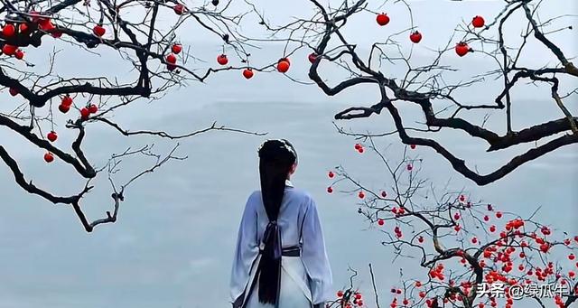 有人说，不就是个彬州烂怂柿子，有啥好拍！