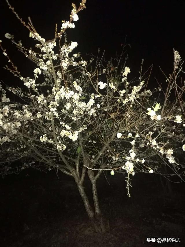 熟人关系的保鲜剂：避开5个毁灭型陷阱