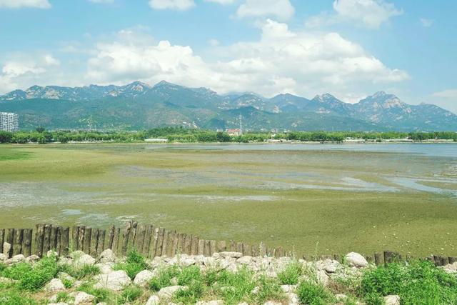 高铁直达！我猜每一个来这的人都需要这份攻略...