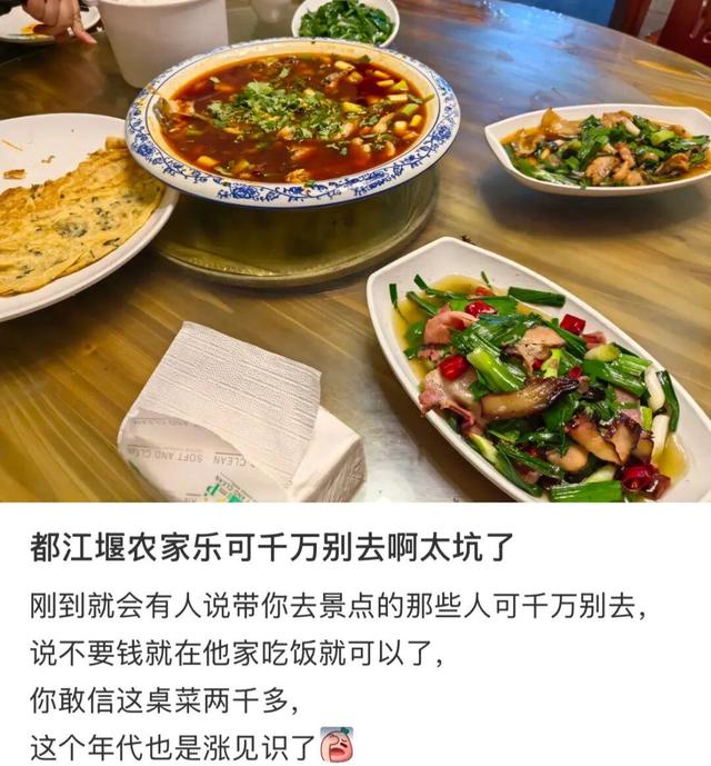倒闭近9万家！曾经排队爆满的“农家乐”，被谁杀死了？