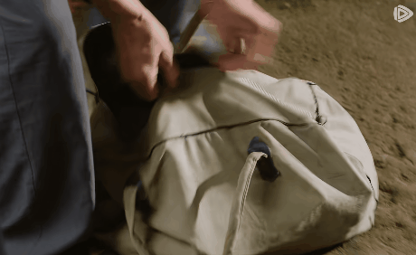 熟龄女性为何疯狂上头？19岁小狼狗护姐姐，比霸总还会撩