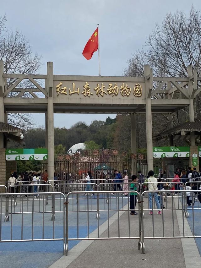 从坦桑到南京,三位女性与一座动物园的保育使命
