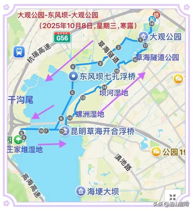 假日徒步，走昆明滇池草海之开合浮桥、雨中打卡新晋网红地，休闲
