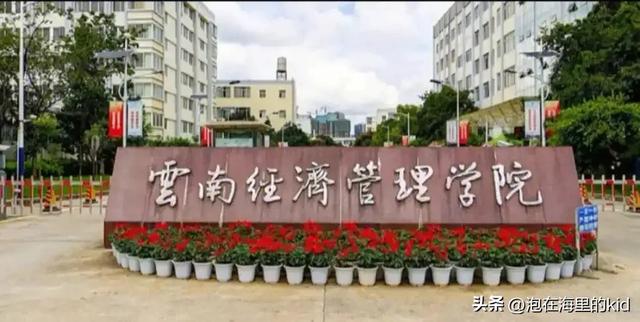云南省学费最贵的9所大学,4年读下来在需要10万左右