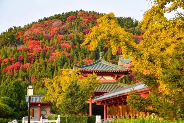 抱犊崮入选山东金秋醉美红叶观赏地