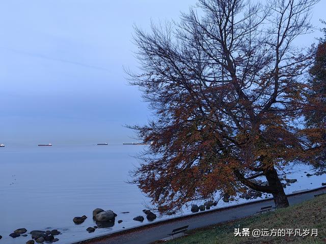 温哥华游记（四）