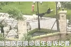 太赞！郑州执行当街抓狗，怒拒狗主人求饶，网友：太解气了图片