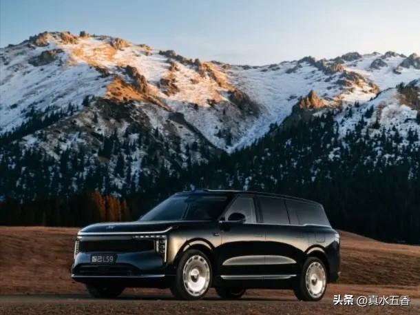 靓车旁的抓拍：《各美其美》